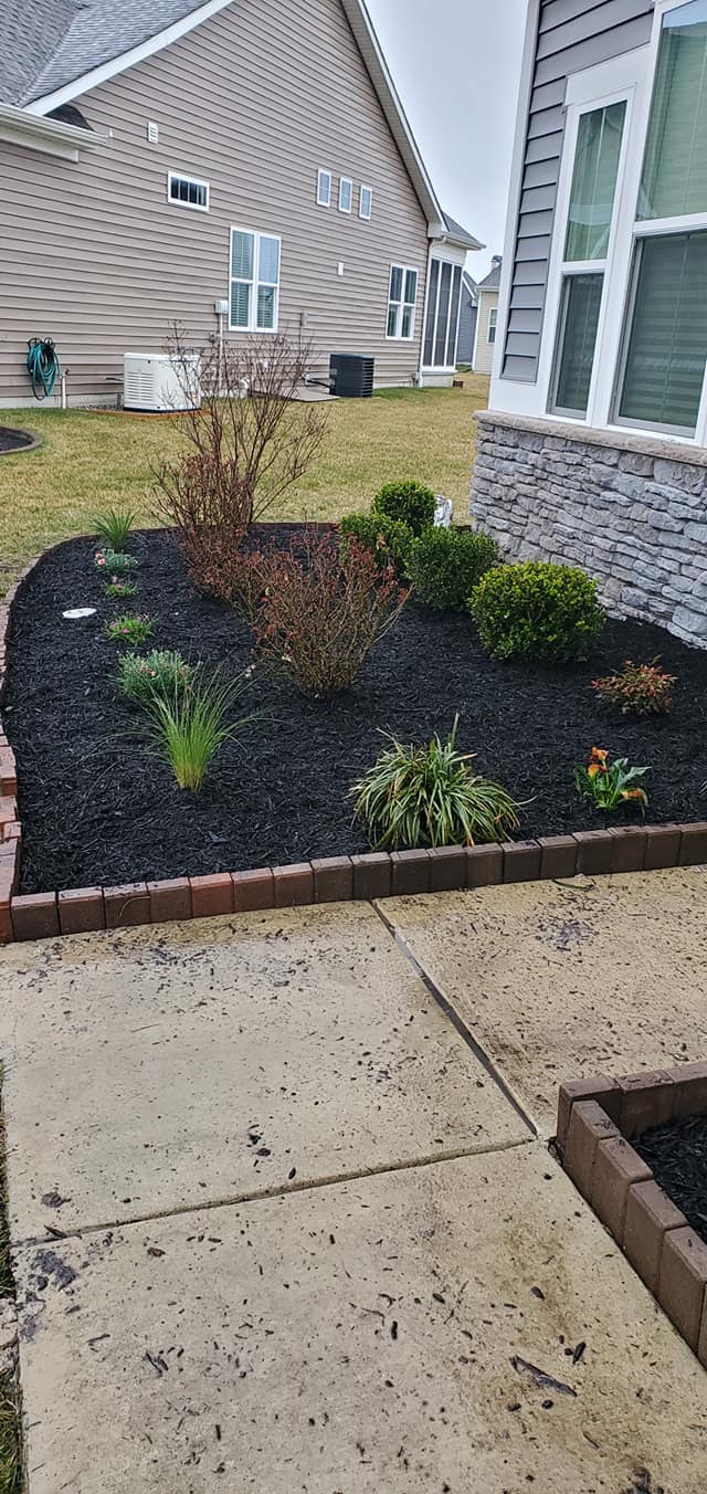 A garden with black mulch and plants in front of a house.