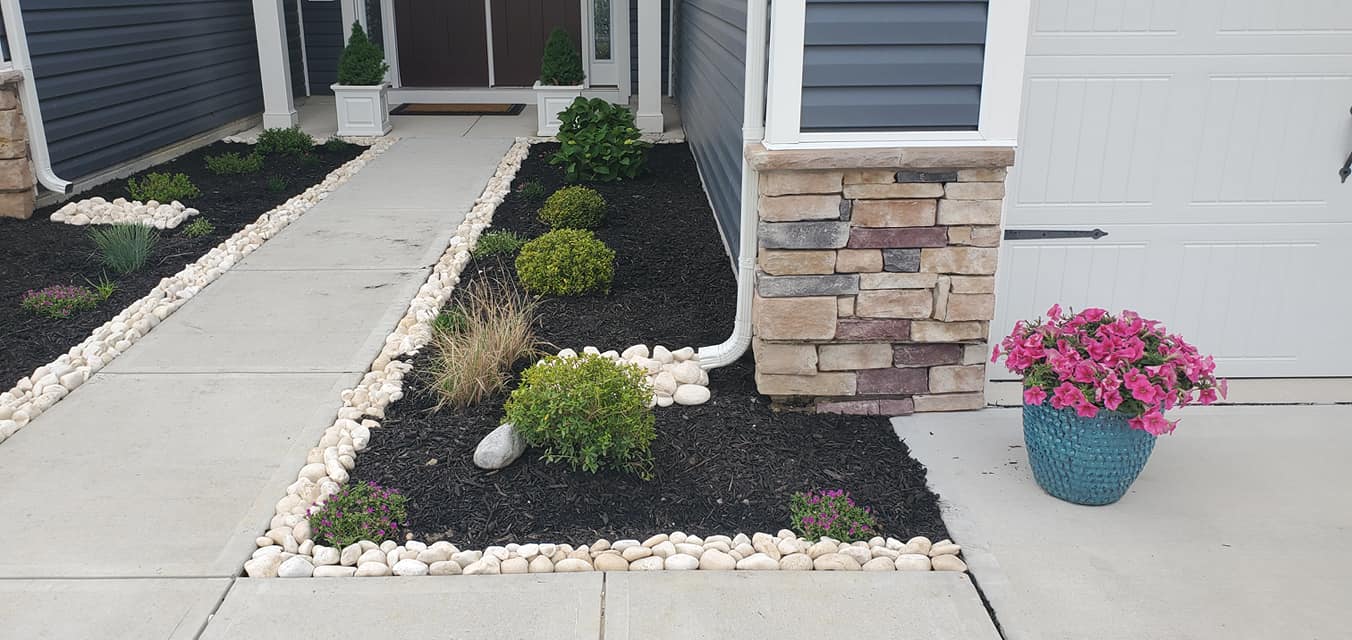 A potted plant is sitting on the sidewalk in front of a house.