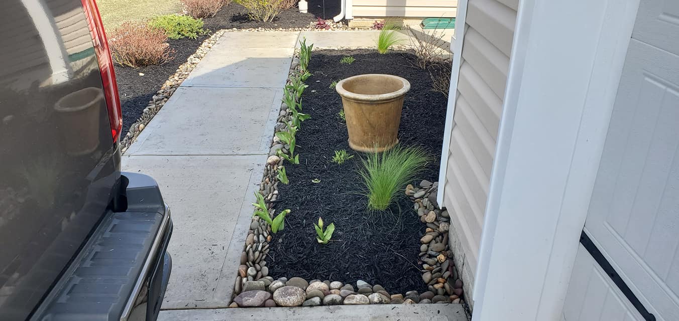 A potted plant is sitting on the sidewalk next to a house.