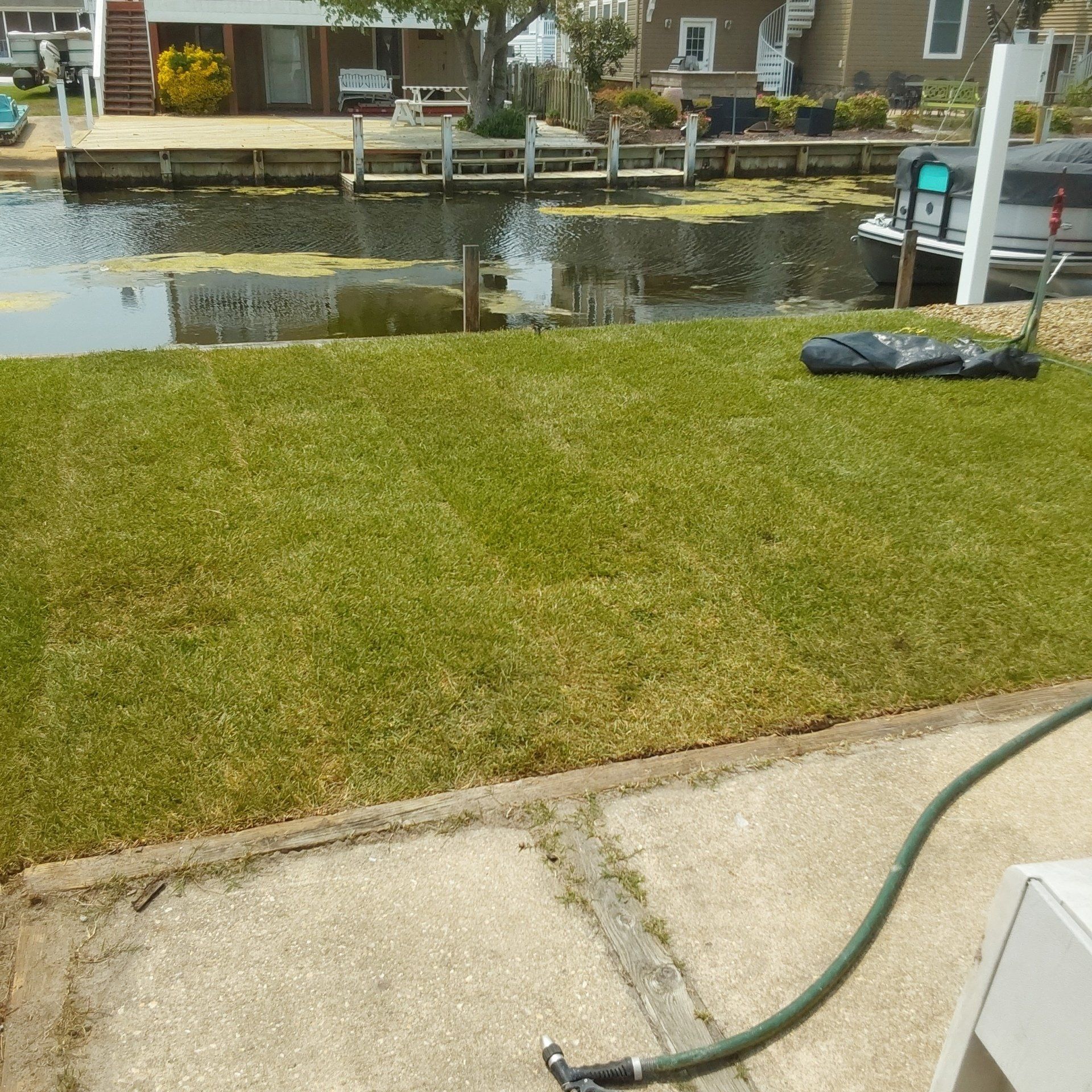 A green hose is laying on the sidewalk in front of a grassy area