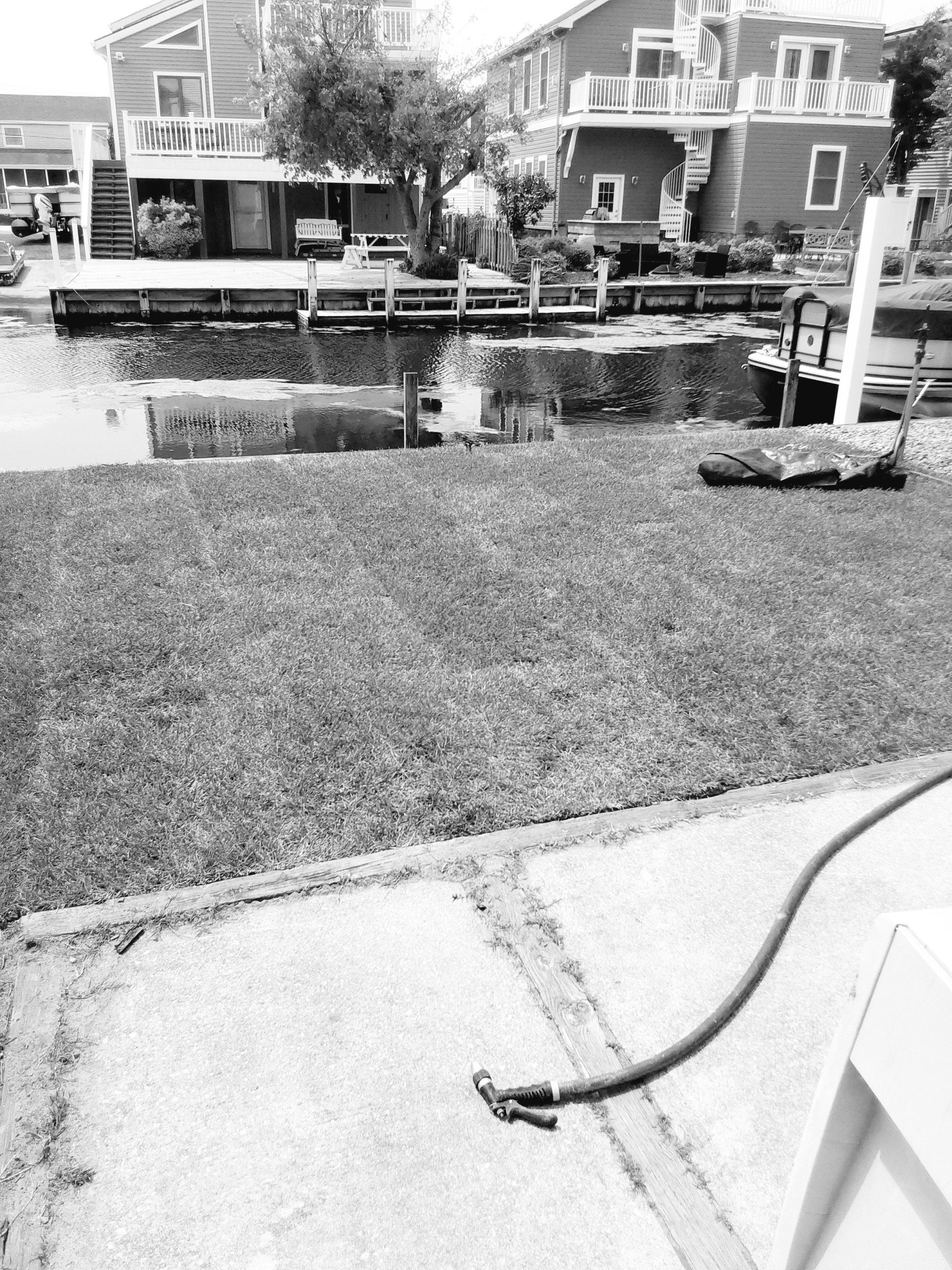 A black and white photo of a lawn with a hose attached to it