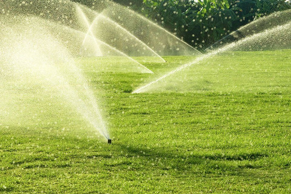 A sprinkler is spraying water on a lush green field.