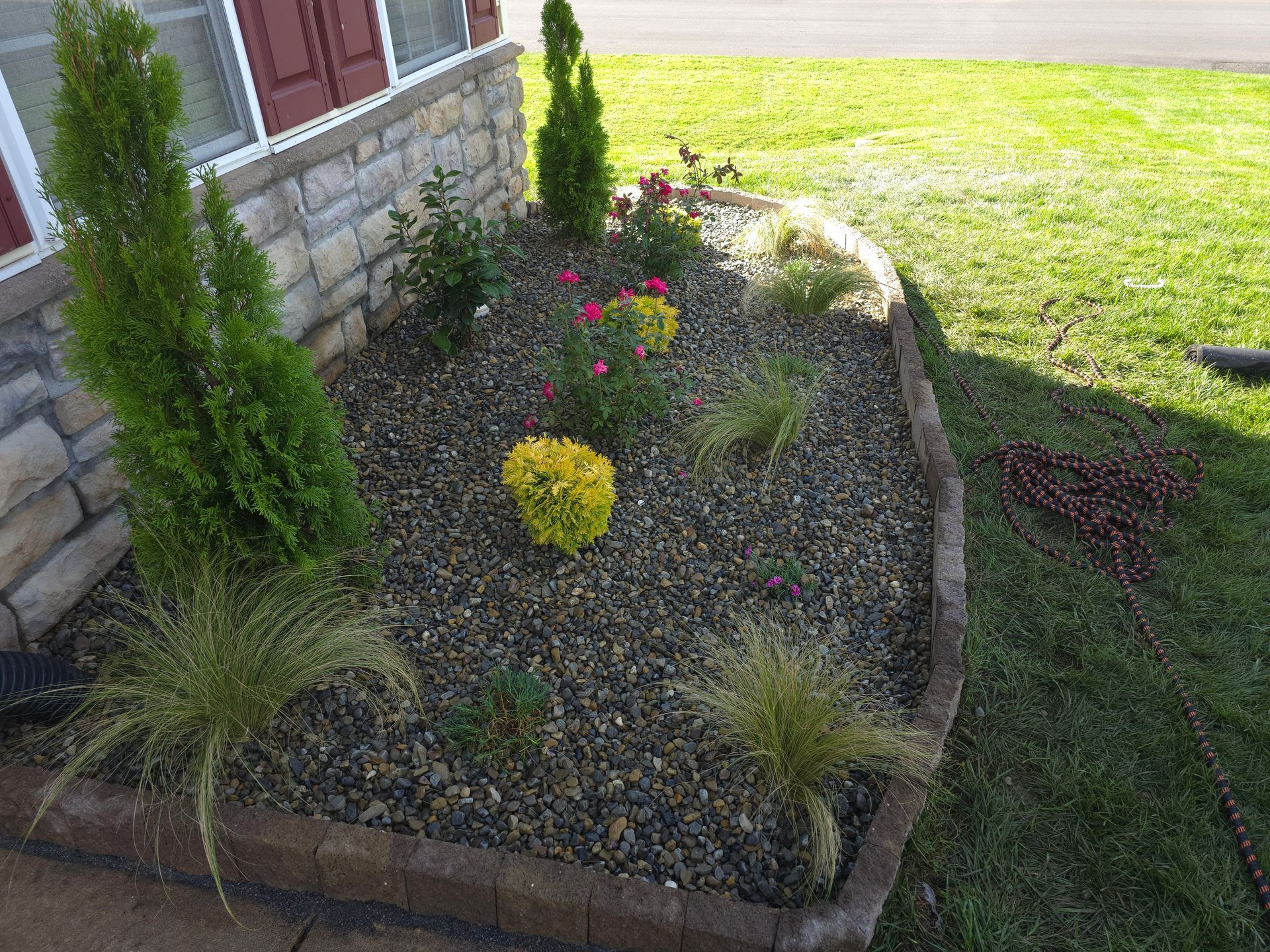 A garden with flowers and shrubs in front of a house.