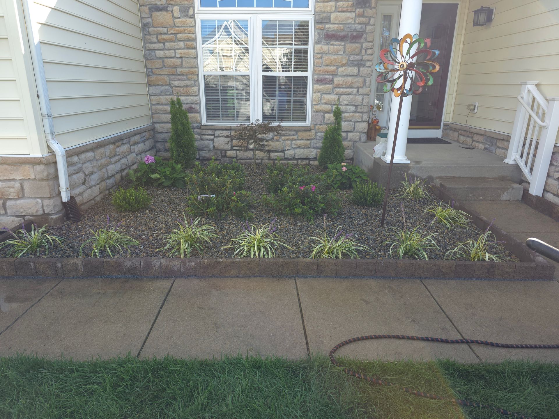A garden in front of a house with a hose attached to it.