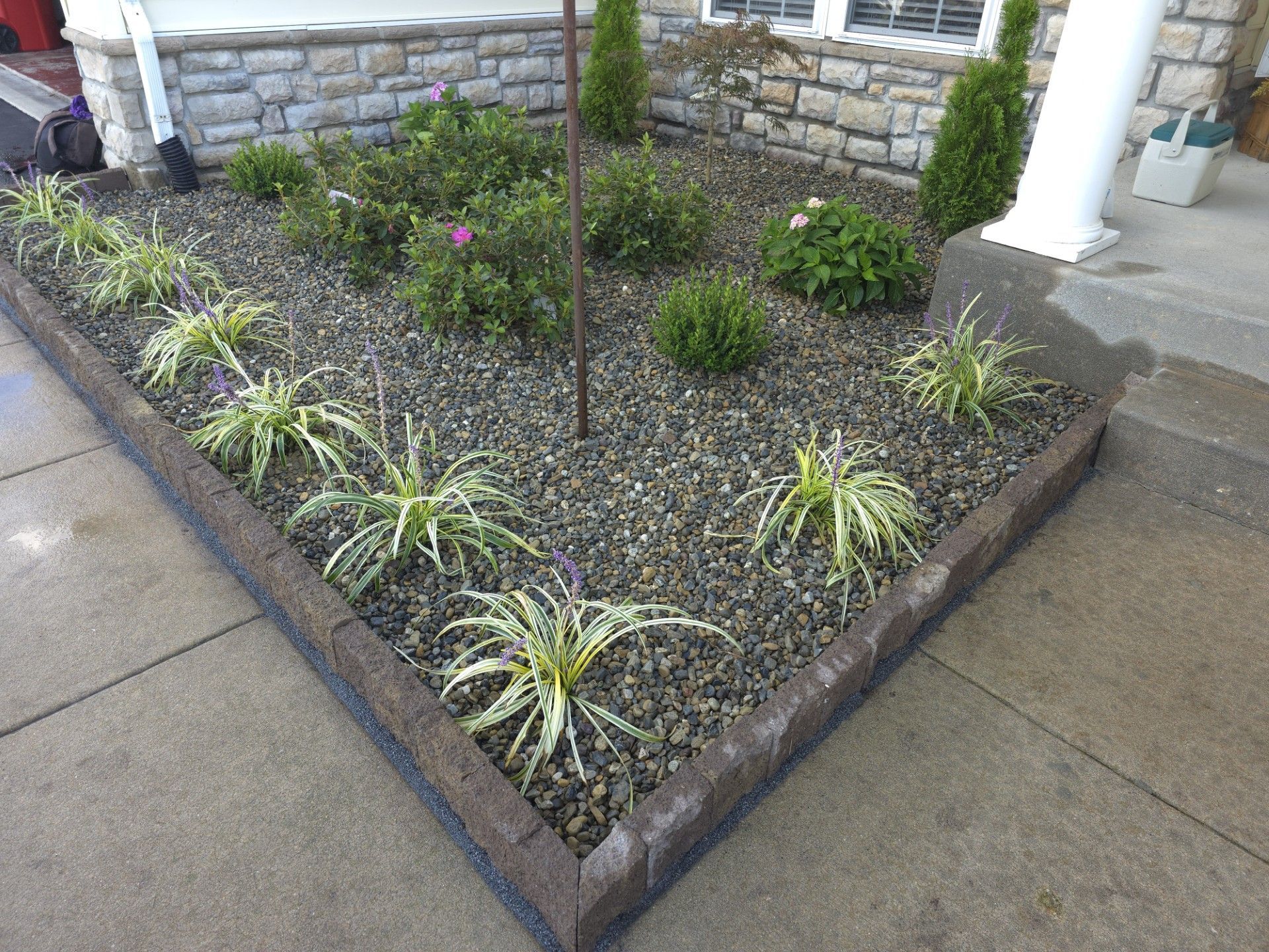 A garden with plants and rocks in front of a brick building.