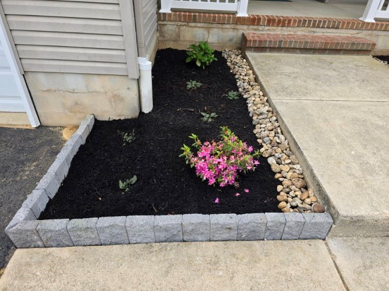 A garden with pink flowers and black mulch in front of a house