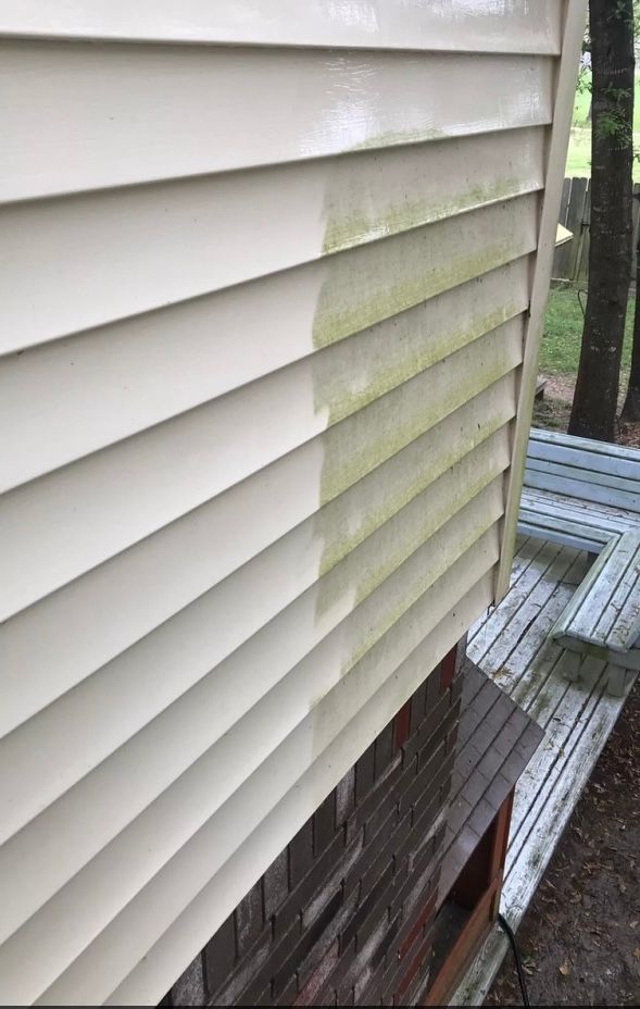 A white siding on a house with green algae on it