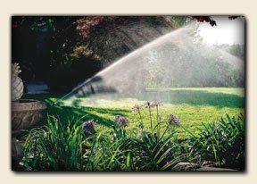 Irrigation system