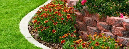 Flowers and lawn edging