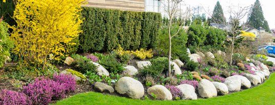 Rock and stone landscaping