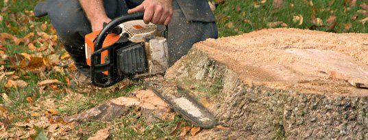 Tree stump removal