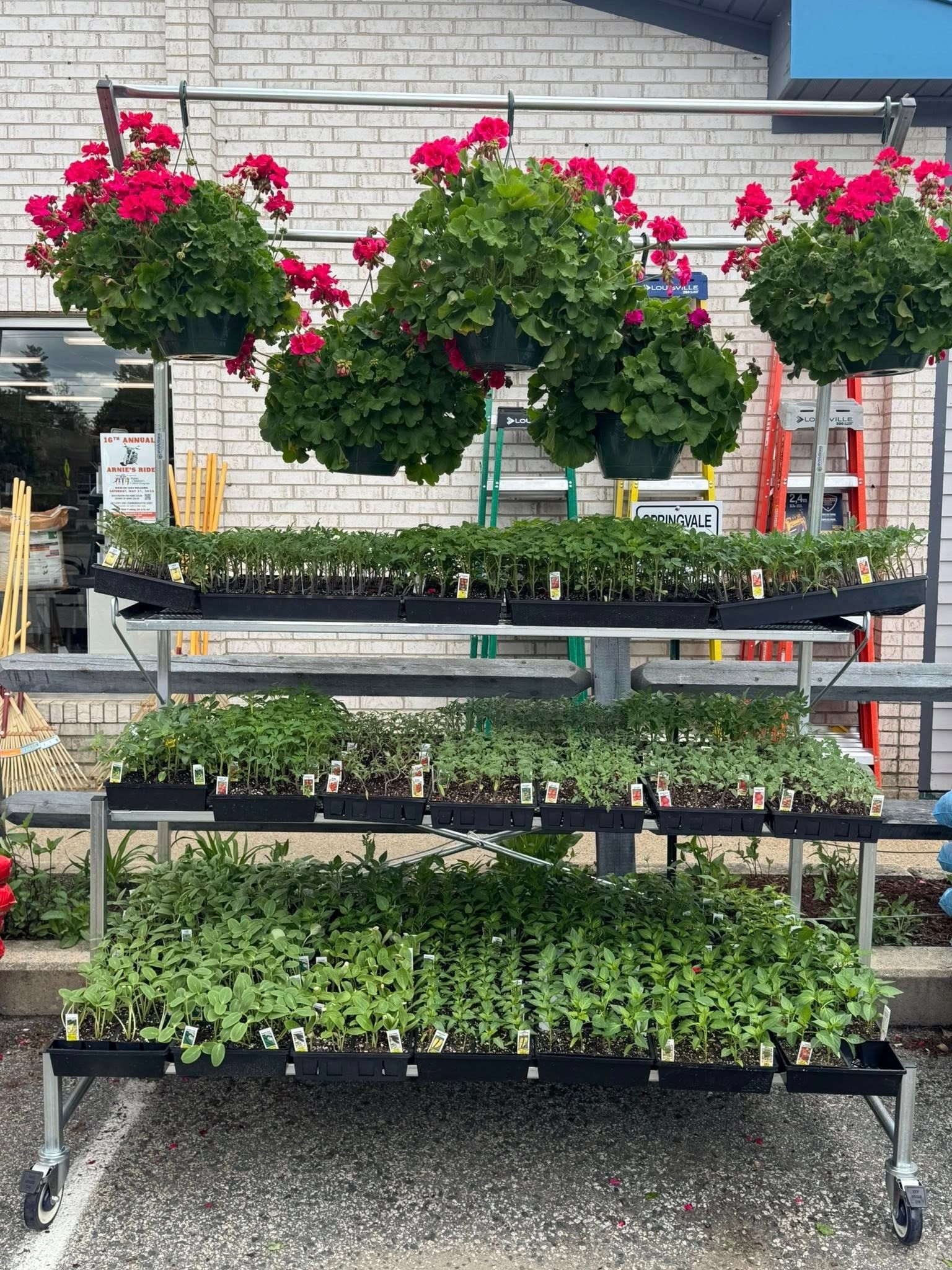 A display of potted plants and hanging baskets in a parking lot.