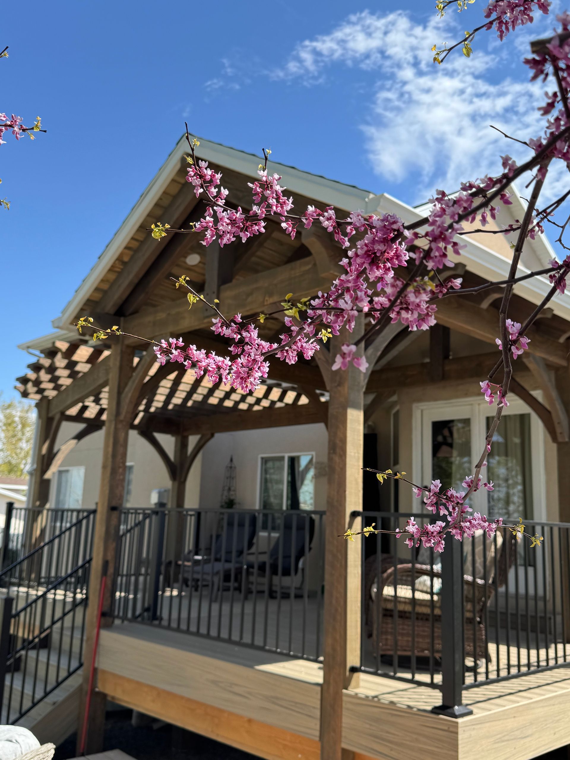 Deck with wooden pergola and blooming pink flowers in front of a house. Sunny day.