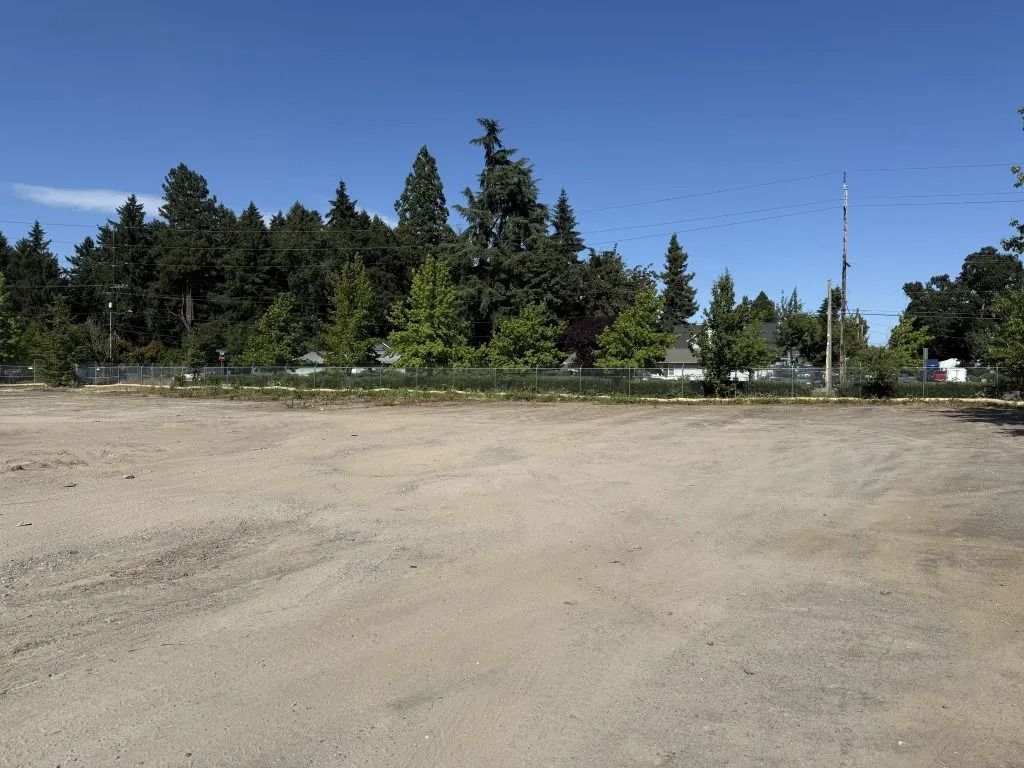 A large, empty gravel lot under a clear blue sky, with a line of tall pine trees and some buildings in the background.