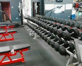 Quality Fitness Equipment