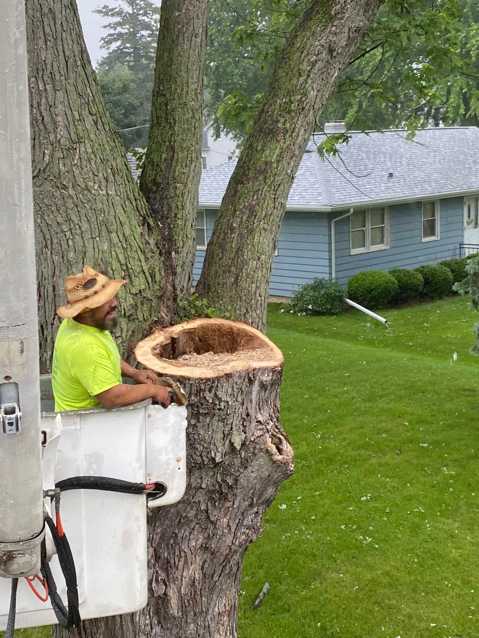 A man is sitting in a crane next to a tree stump.