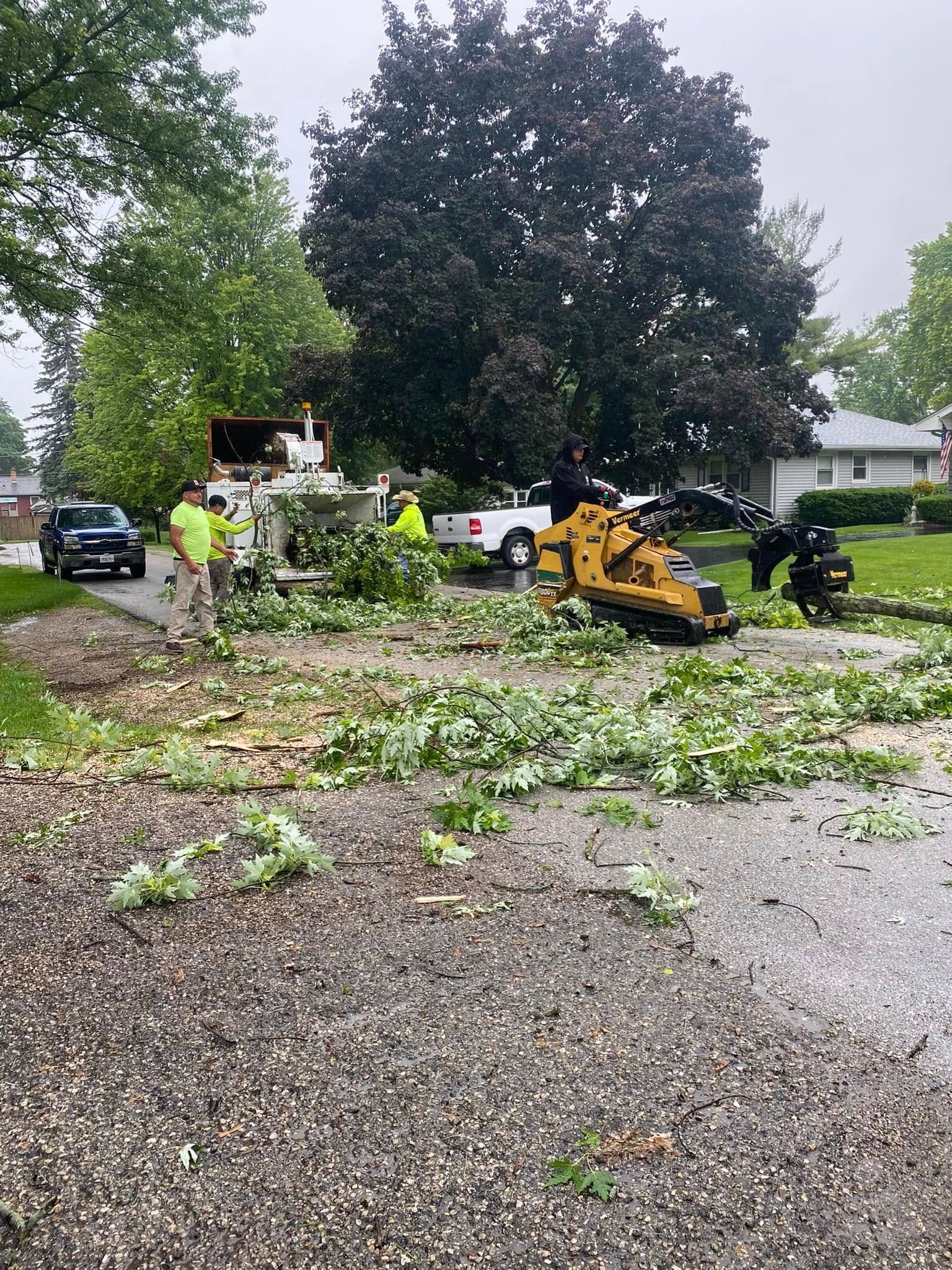 A group of people are working on a tree stump in a driveway.
