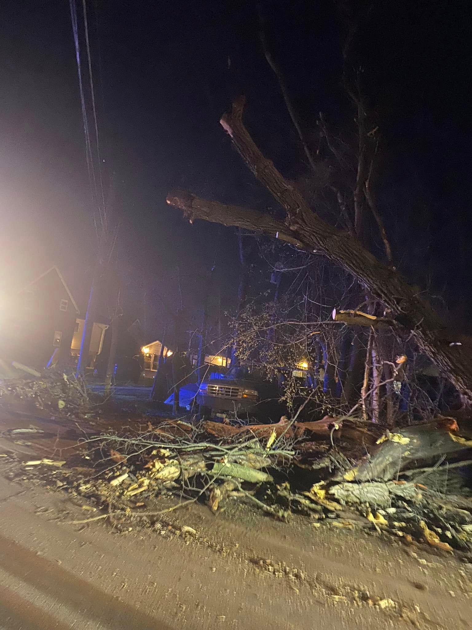 A tree has fallen on the side of a road at night.