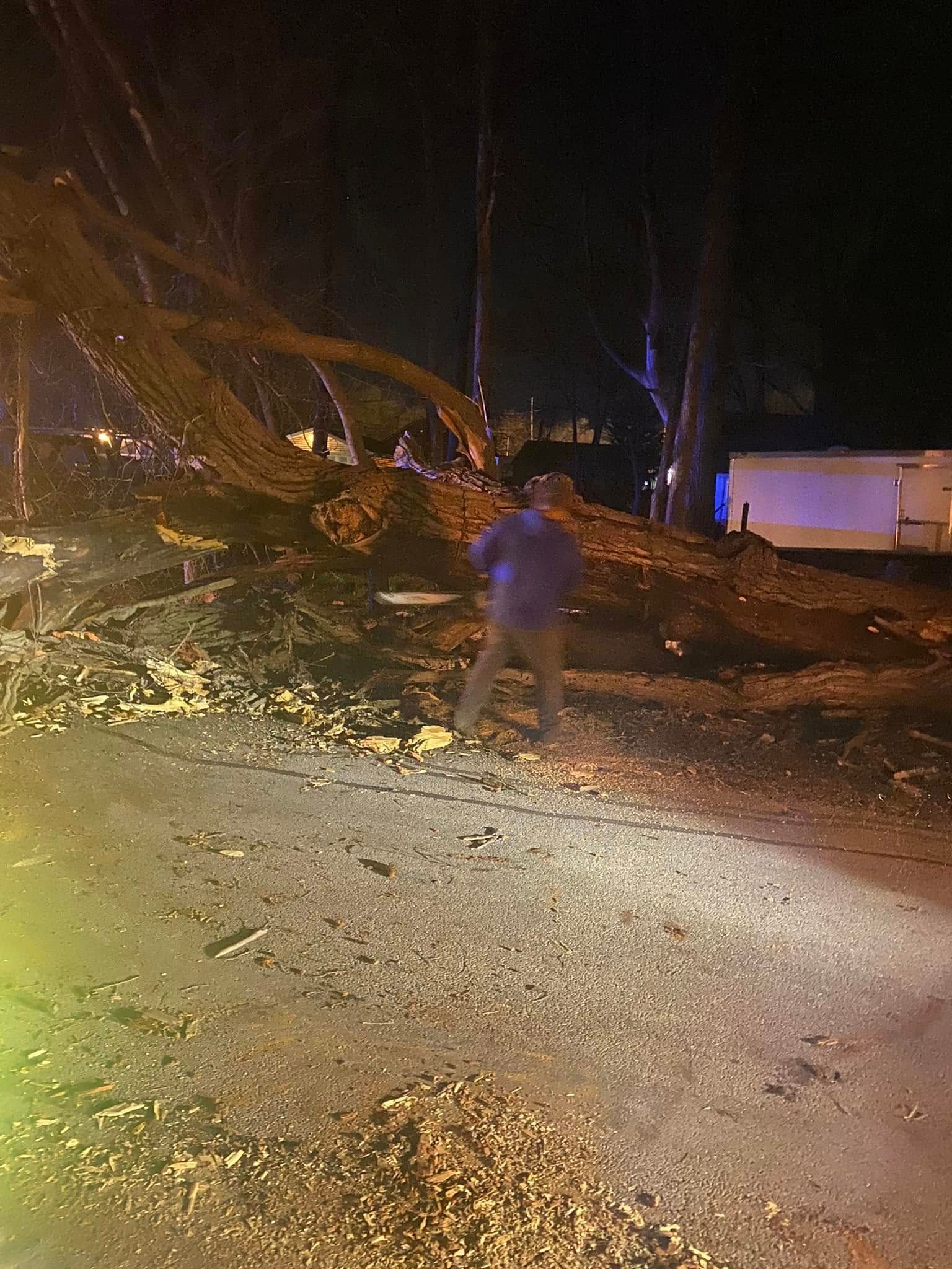 A man is walking down a street next to a fallen tree at night.