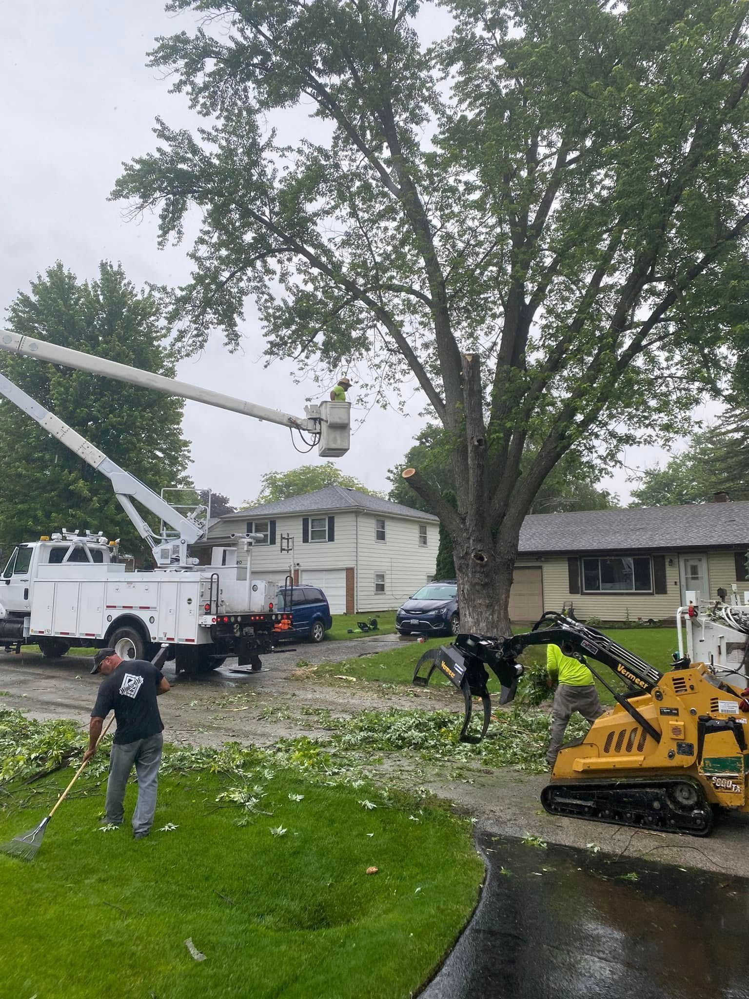 A group of people are cutting a tree in a yard.