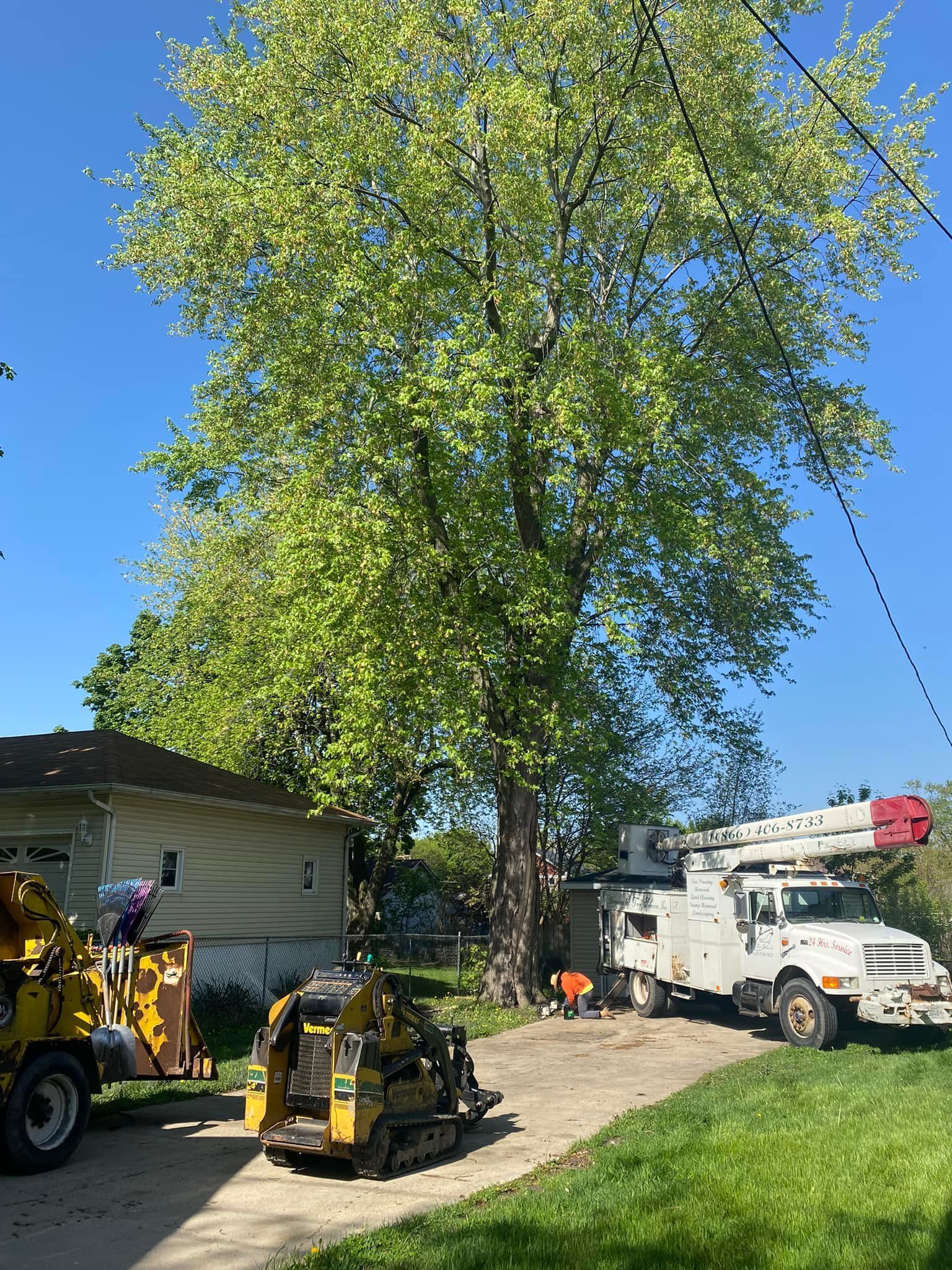 A tree is being cut down in a driveway next to a house.