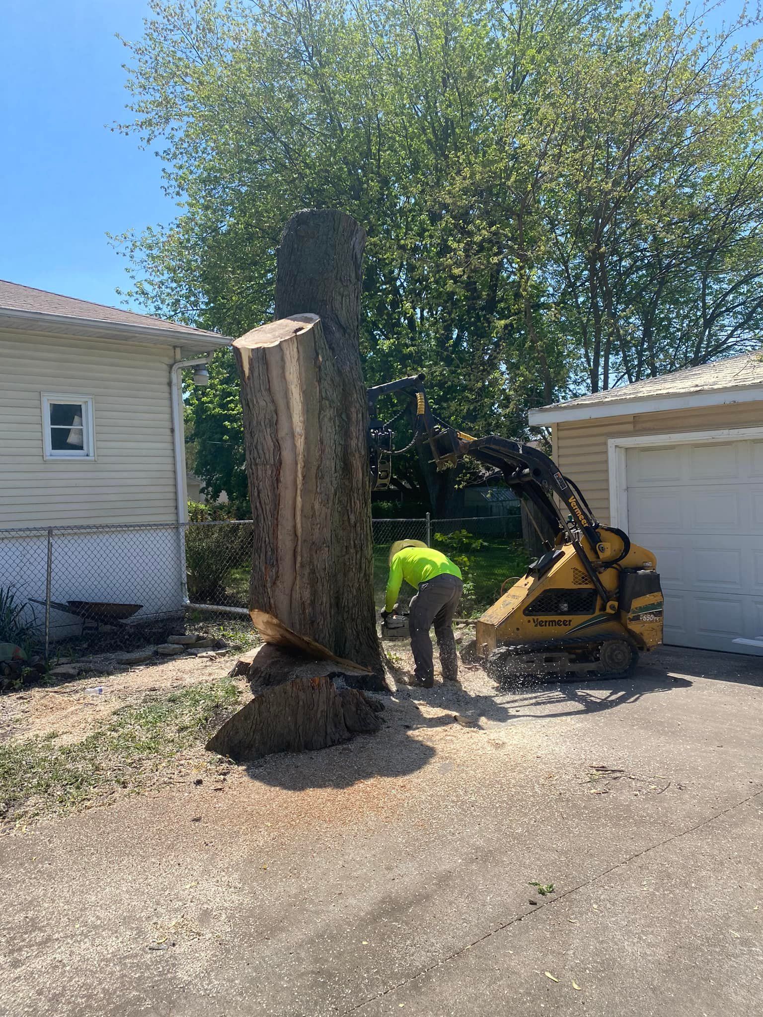 A man is standing next to a large tree stump in front of a house.