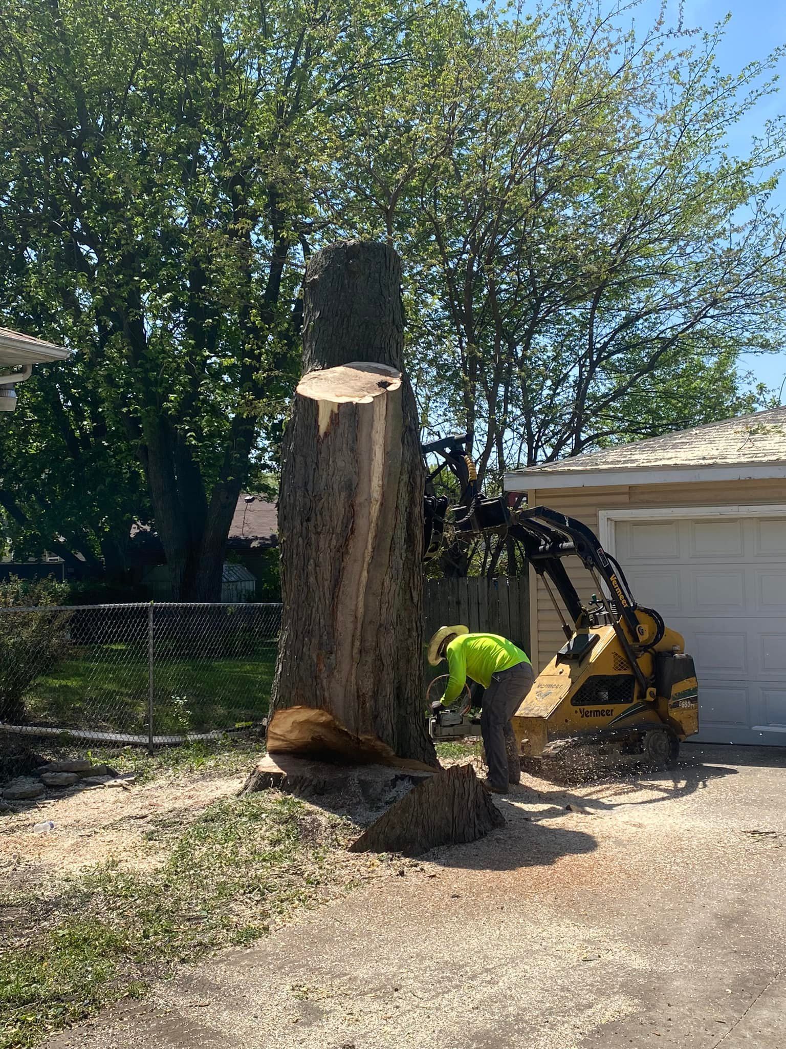 A man is cutting down a large tree stump in front of a house.