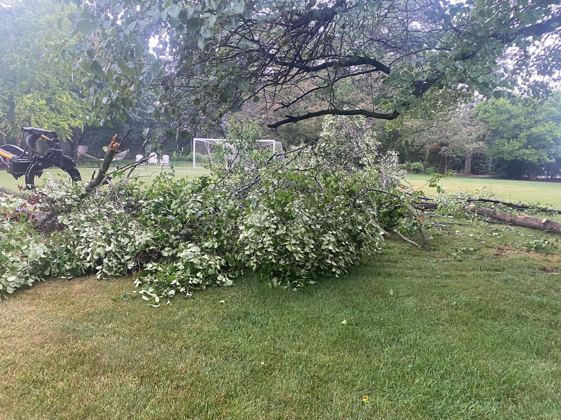 A fallen tree in a yard with a tractor in the background.