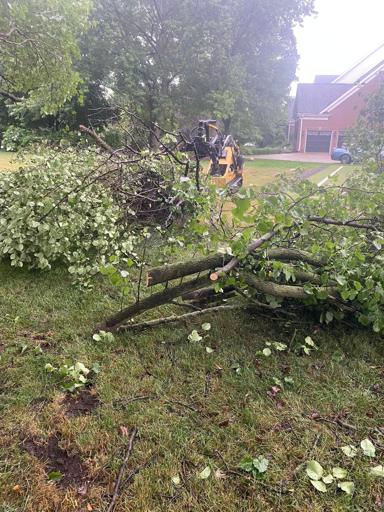 A pile of fallen trees in a yard with a house in the background.
