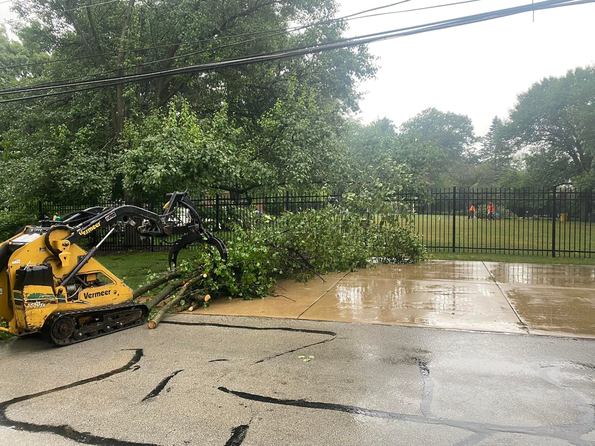 A yellow stump grinder is sitting on the side of the road next to a fallen tree.