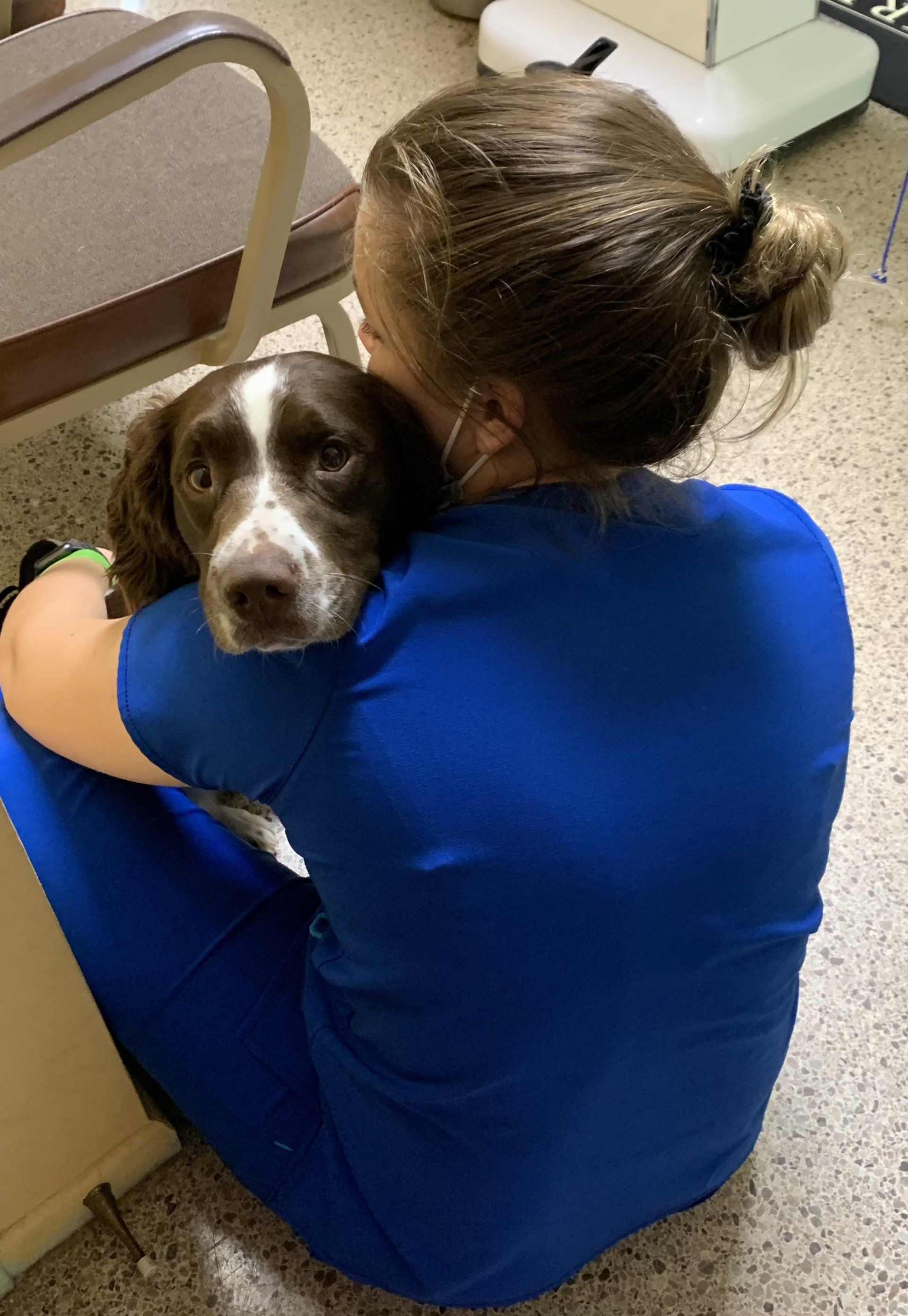 A Full Range of Veterinary Services for Dogs and Cats