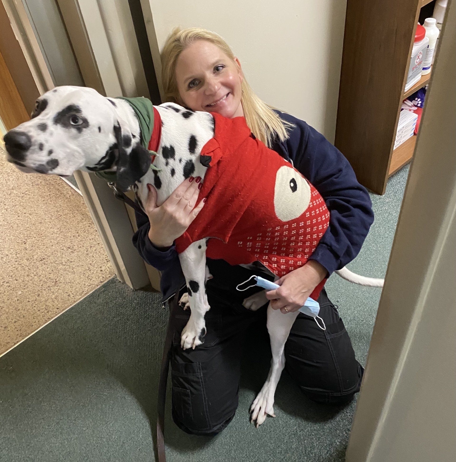 A Full Range of Veterinary Services for Dogs and Cats