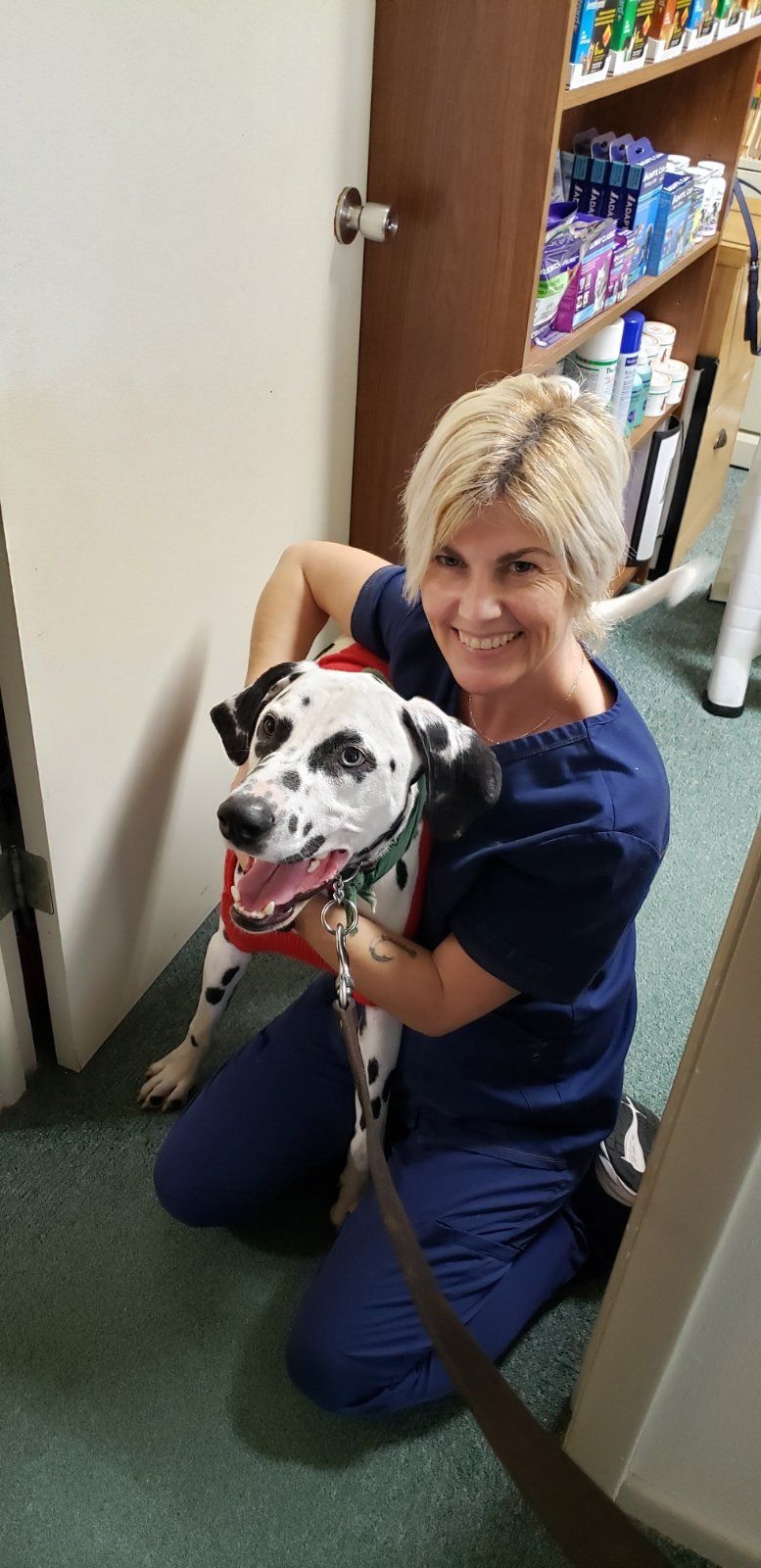 A Full Range of Veterinary Services for Dogs and Cats