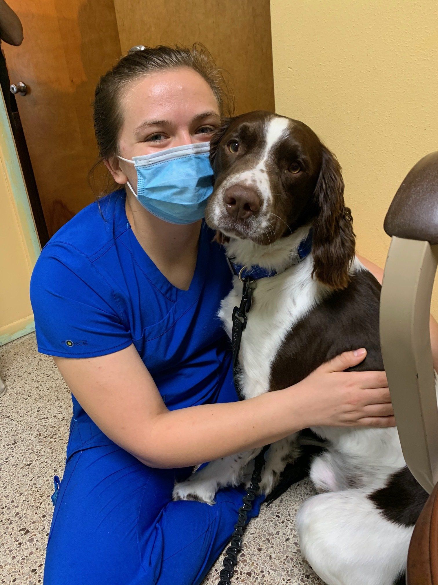 A Full Range of Veterinary Services for Dogs and Cats