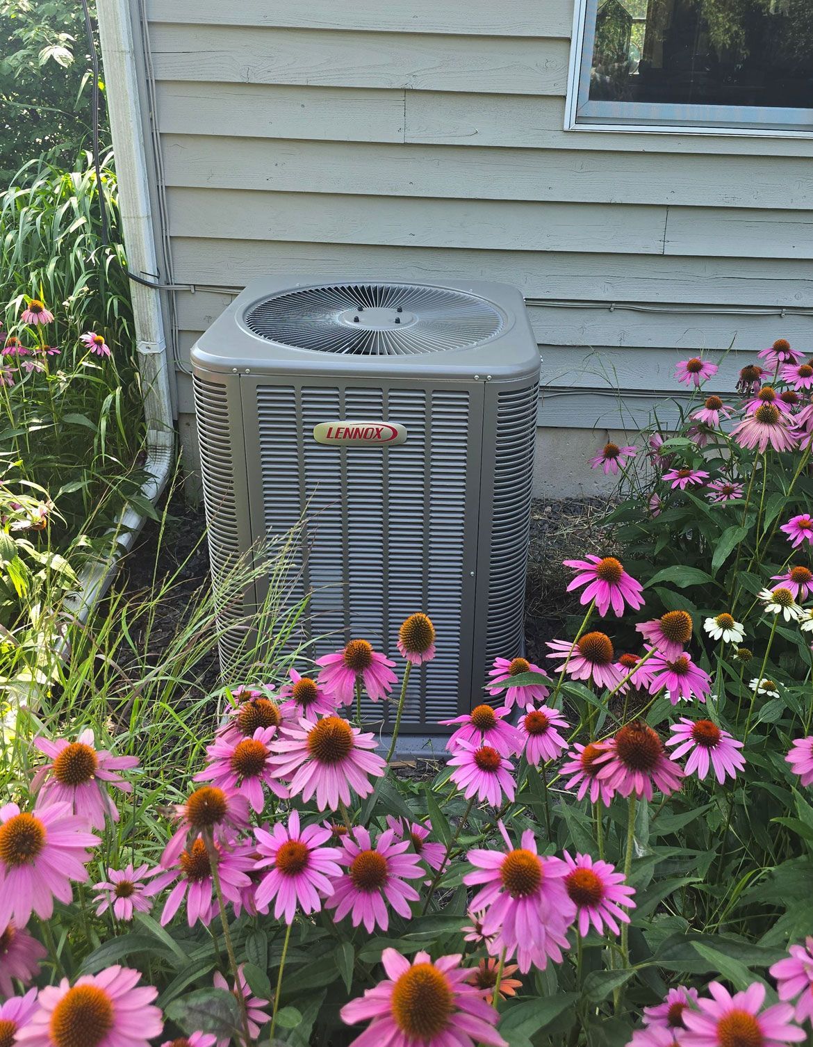 Outdoor air conditioner unit beside a house, surrounded by pink coneflowers and greenery