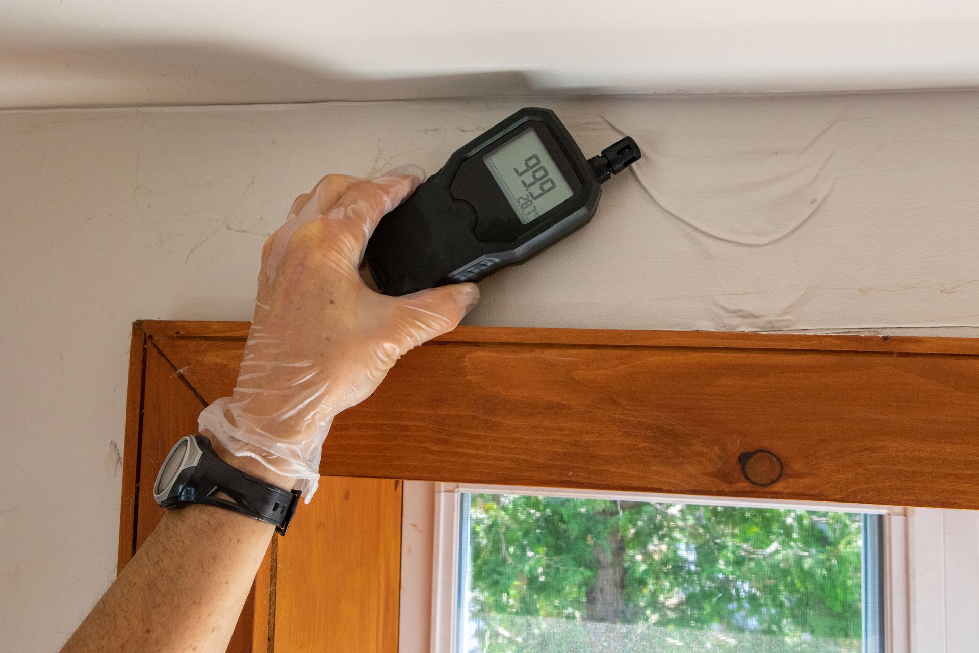 A person in a clear glove uses a moisture meter on a wall near a window frame, showing a high numerical reading.
