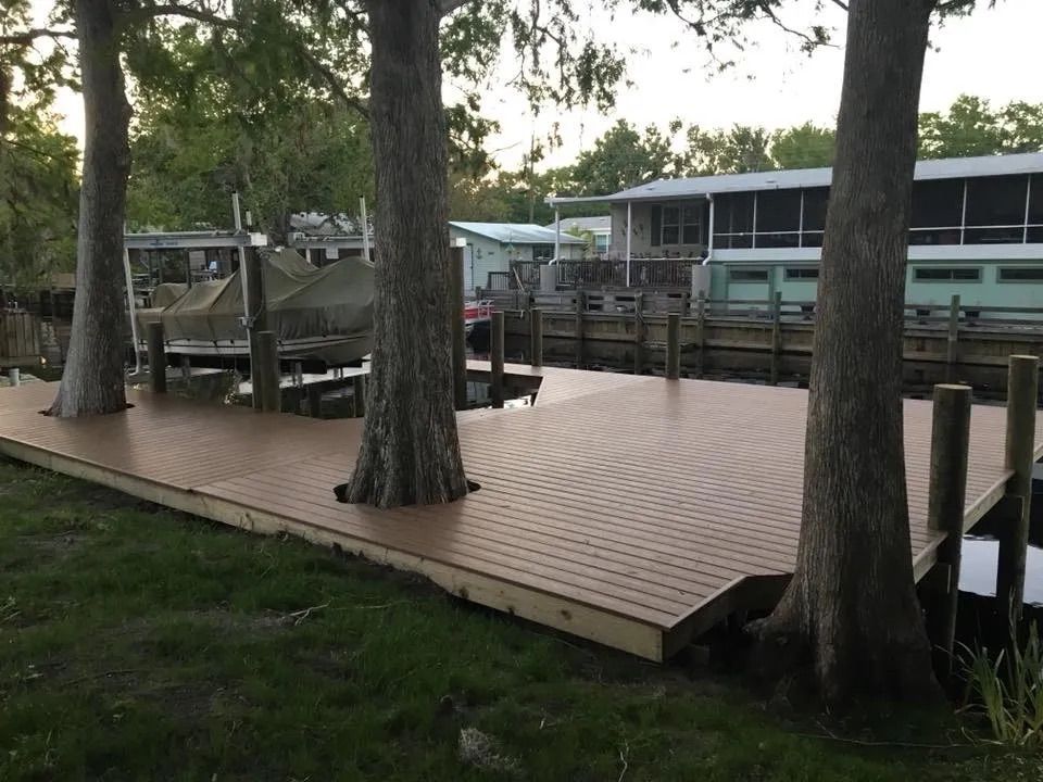 Brown dock with three trees growing through it, extending into water; houses in background.