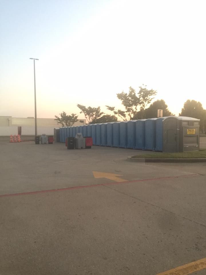 A long line of blue portable toilets in a parking lot under a pale sky.