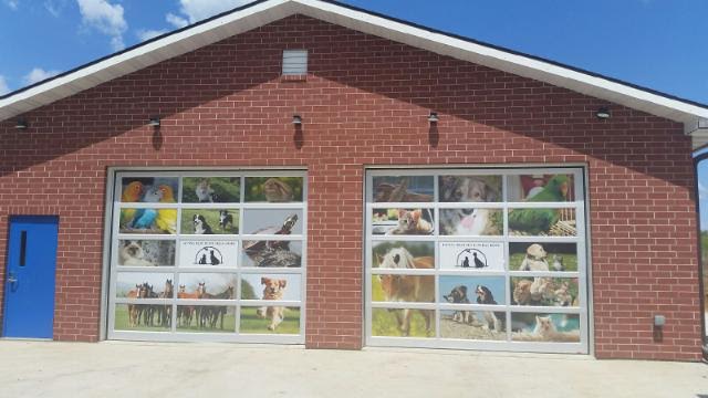 when do puppies stop eating their poop