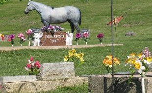 horse cremation services