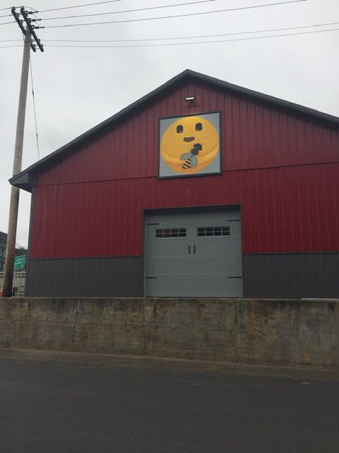 Commercial Hollow doors