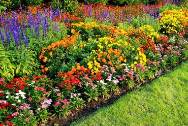 Colorful garden