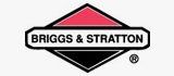 Briggs and Stratton