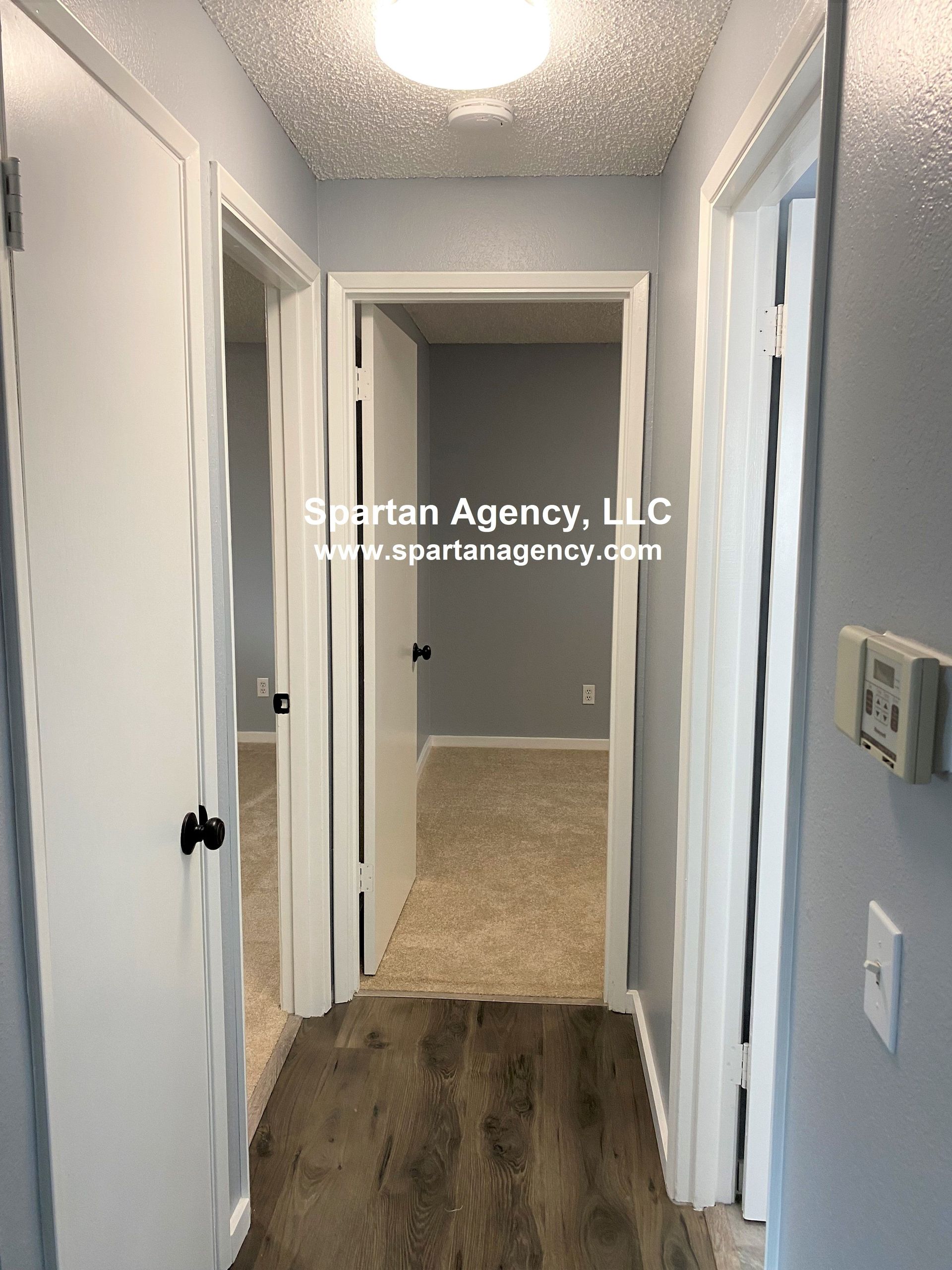 A hallway with three white doors, gray walls, and wood-look flooring. A bright light is in the ceiling.