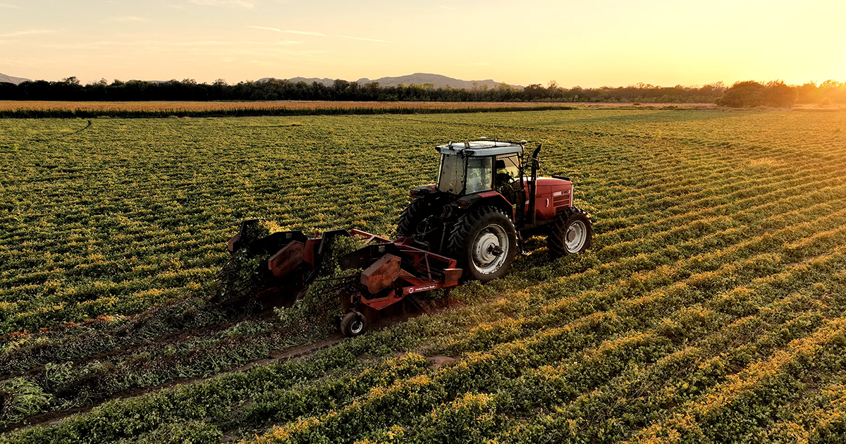 Advanced Agricultural Solutions | USA