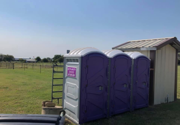 Three purple portable toilets next to a small wooden shed on a grassy field under a blue sky.