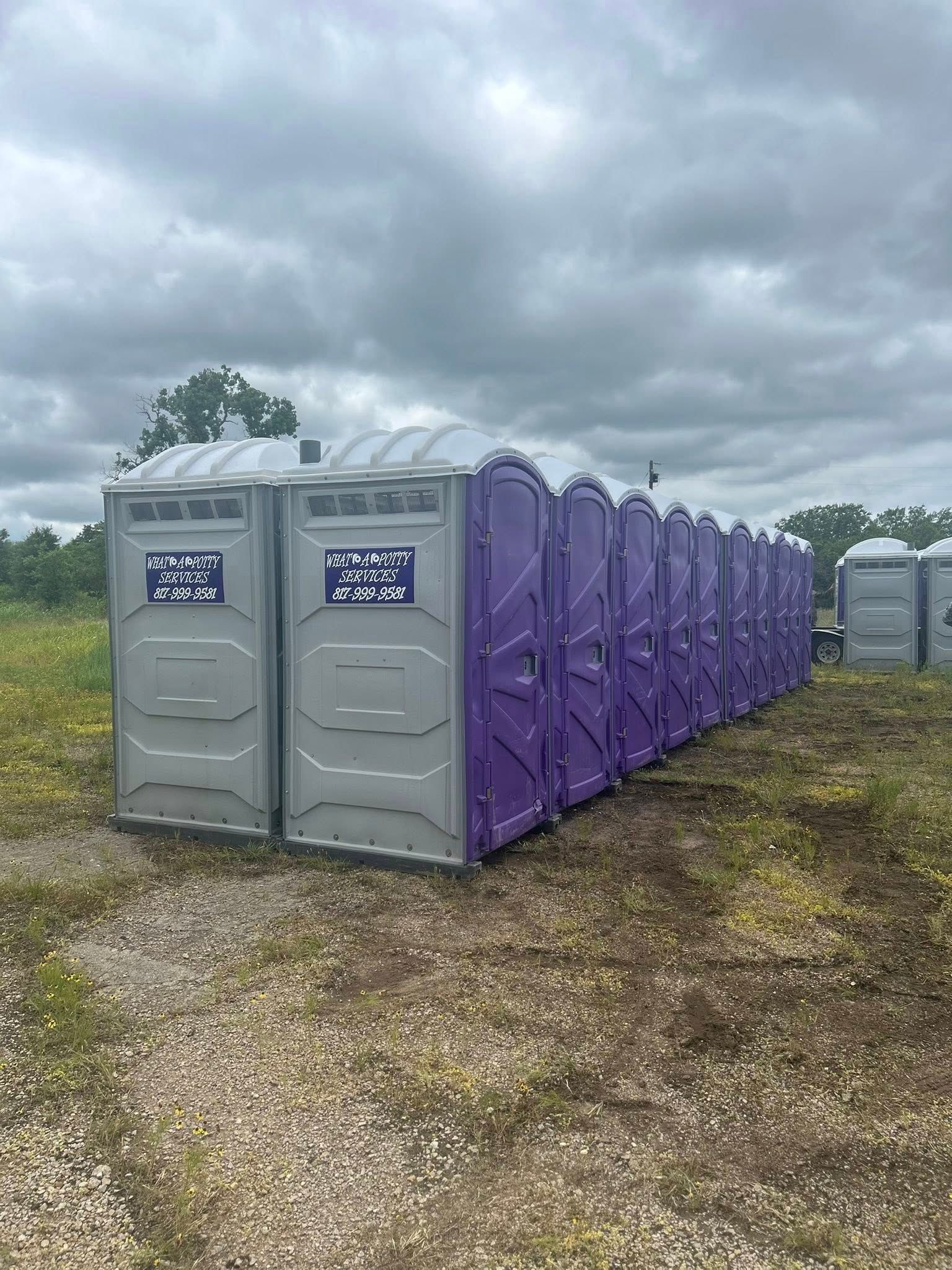 Portable toilets in a row; gray and purple units in a grassy field under cloudy sky.