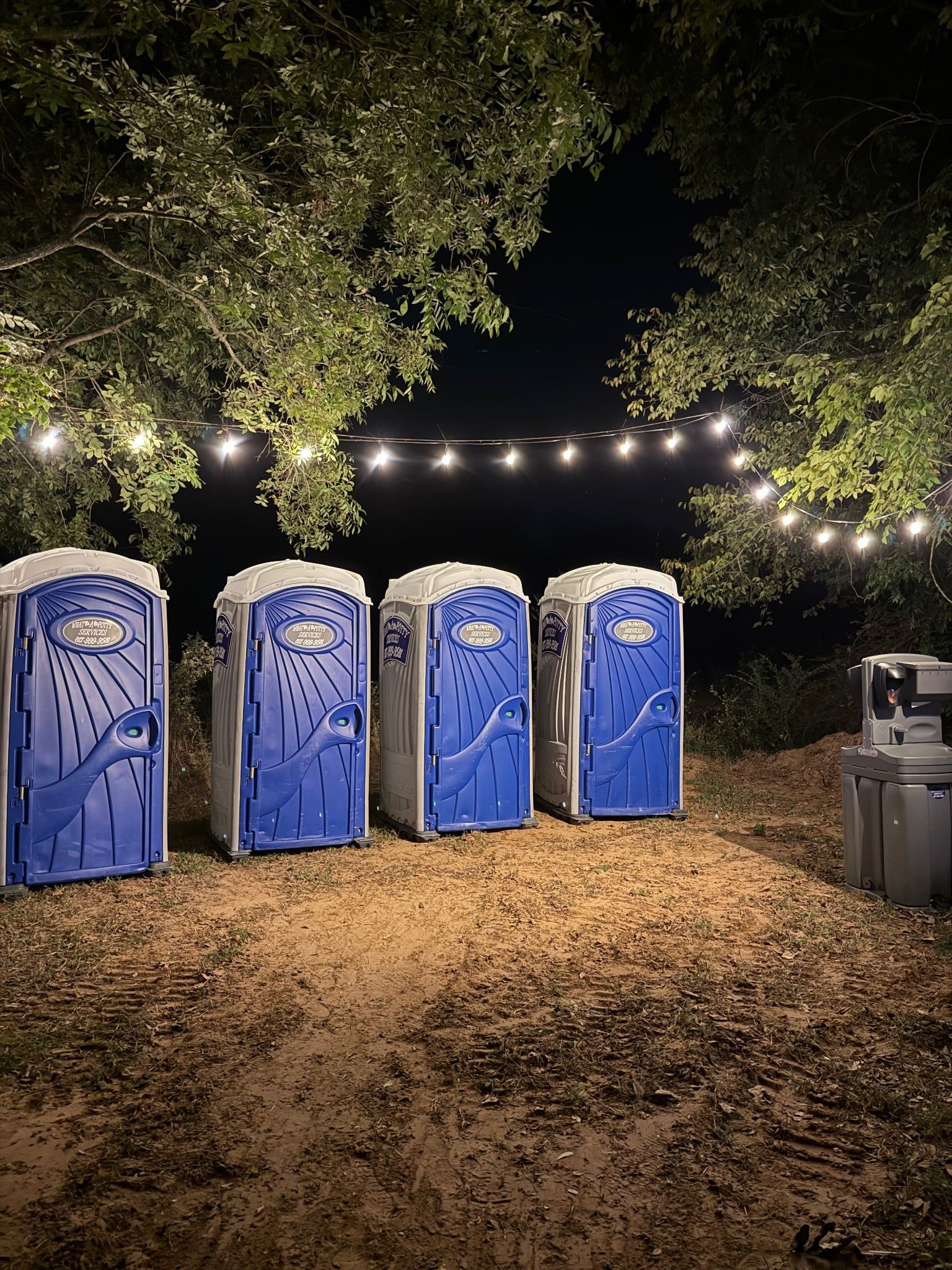 Four blue portable toilets under string lights in a wooded outdoor setting at night.