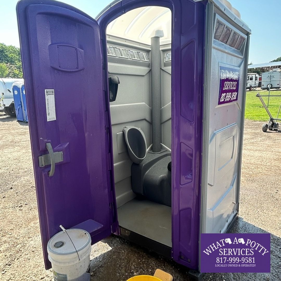 Purple portable toilet with the door open, showing the interior. Bucket and sunlight visible.