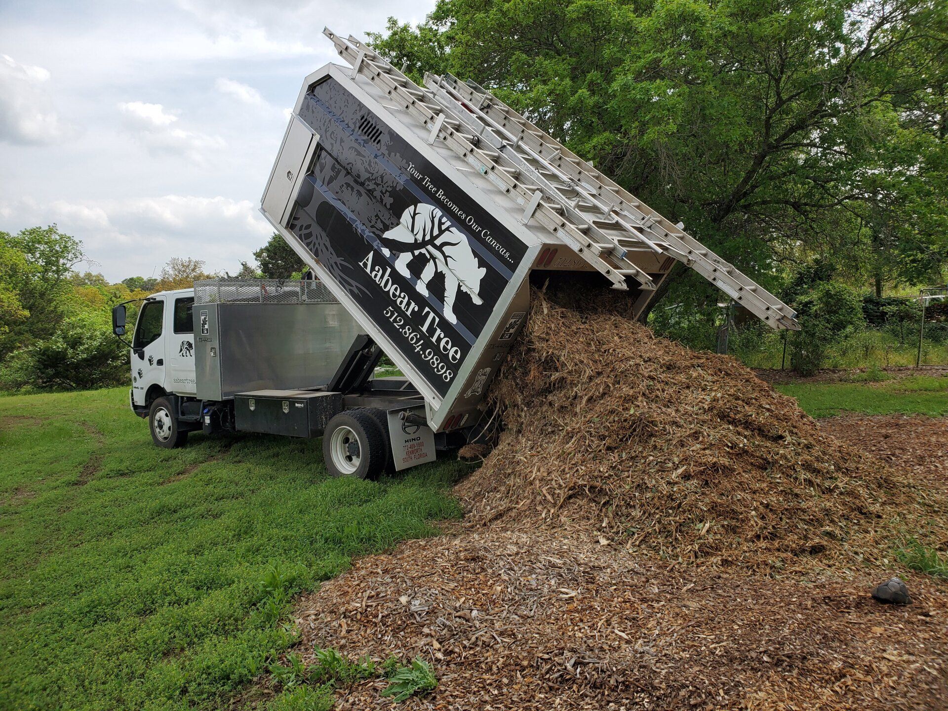 Tree Trimming TX Aabear Tree Care